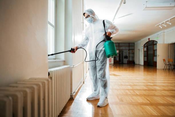 Best Real Estate Pest Inspections  in Eldorado, TX